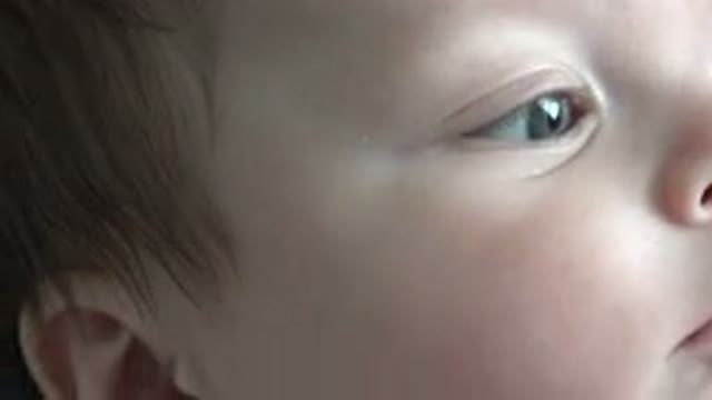 WESTMINSTER COLORADO-2015: A Tight Shot Of A Baby With Red Hair And Blue Eyes