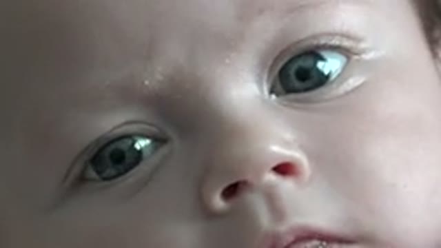 WESTMINSTER COLORADO-2015: Baby Close Up Looking Into The Camera And Staring