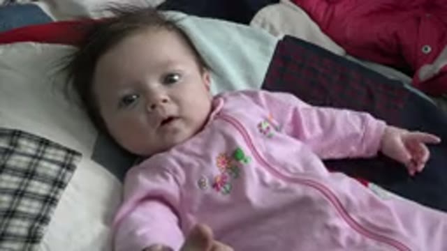 WESTMINSTER COLORADO-2015: Baby With Brown Eyes Smiling in Coach With Man