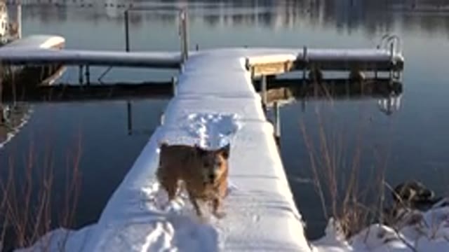 WESTMINSTER COLORADO-2015: Dock In The Winter Time With Calm Water And Snow
