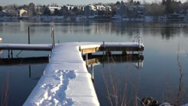 WESTMINSTER COLORADO-2015: A Snow Covered Dock And A Brown Medium Sized Dog