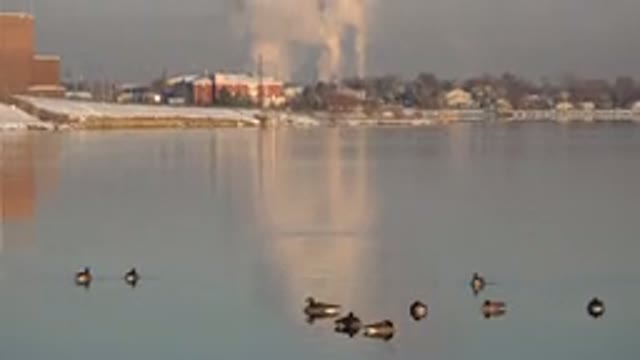 WESTMINSTER COLORADO-2015: Ducks Swim On Body Of Water In Foreground Factories