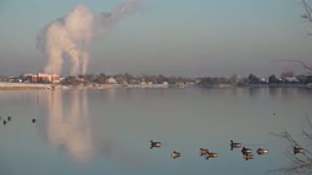 WESTMINSTER COLORADO-2015: Geese In Their Natural Beauty Coinciding With The