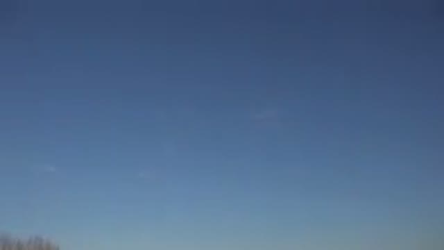 WESTMINSTER COLORADO-2015: A Big Dog Is Playing On A Beautiful Day And Seeing To