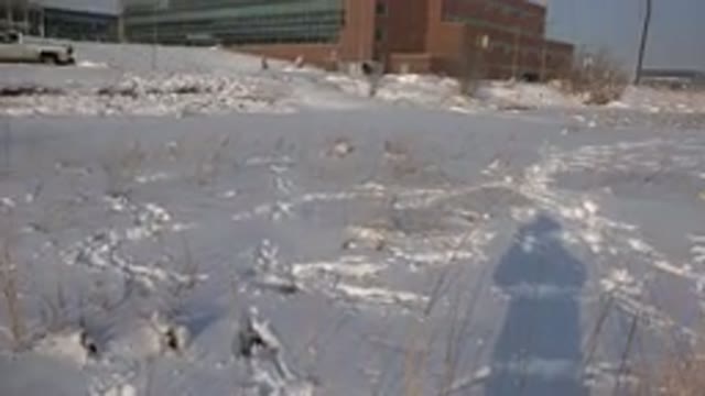 WESTMINSTER COLORADO-2015: A Man Films the Snowy Ground Immediately After It