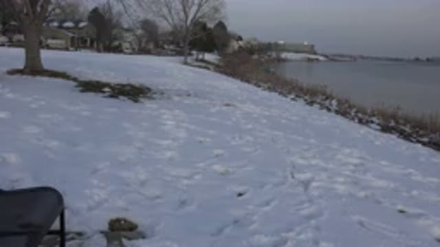 WESTMINSTER COLORADO-2015: Dog Hunting in the Snow with Solitude