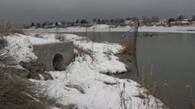WESTMINSTER COLORADO-2015: River Bend In The Winter Time With Animals On Water