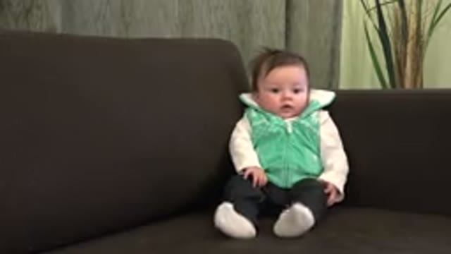 WESTMINSTER COLORADO-2015: Baby Sitting On A Couch Looking Confused