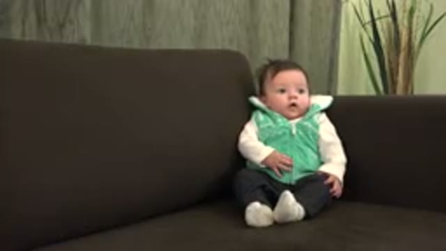 WESTMINSTER COLORADO-2015: A Baby in Green and Black Dress Sitting on Sofa