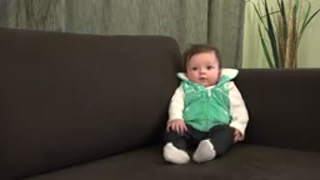 WESTMINSTER COLORADO-2015: Baby Sitting On A Couch Looking Around Confusedly