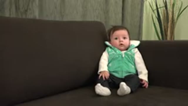 WESTMINSTER COLORADO-2015: Frightened Baby Looking Forward Without Moving