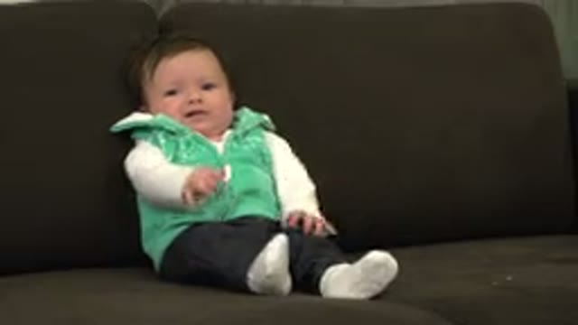 WESTMINSTER COLORADO-2015: Fussy Baby Sitting On The Couch