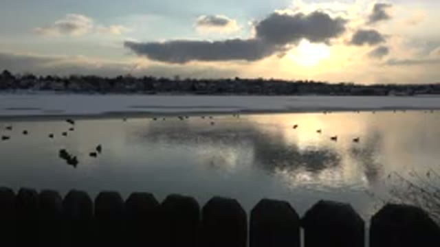 WESTMINSTER COLORADO-2015: Winter Ending With Lakes Thawing And Ducks Enjoying