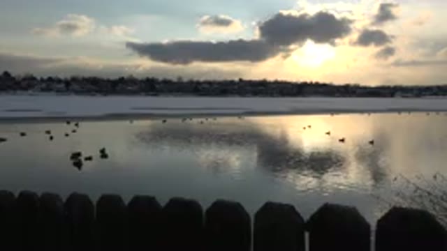 WESTMINSTER COLORADO-2015: Birds Floating On A Body Of Water While A Sun Is Setting