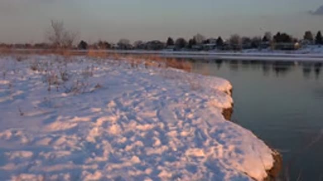 WESTMINSTER COLORADO-2015: A Dog Is Walking Alone Along A Bank Of A River In The