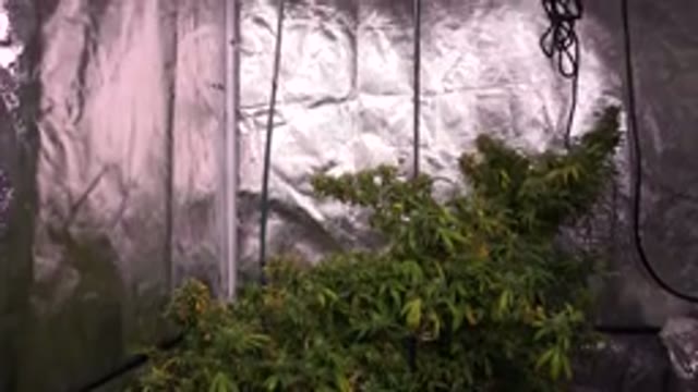 WESTMINSTER COLORADO-2015: Panning Upwards Along the Side of a Wall or Tarp Indoors