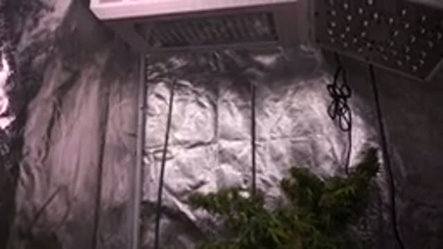 WESTMINSTER COLORADO-2015: Shiny Wall With Pipes And Platform And Plants At