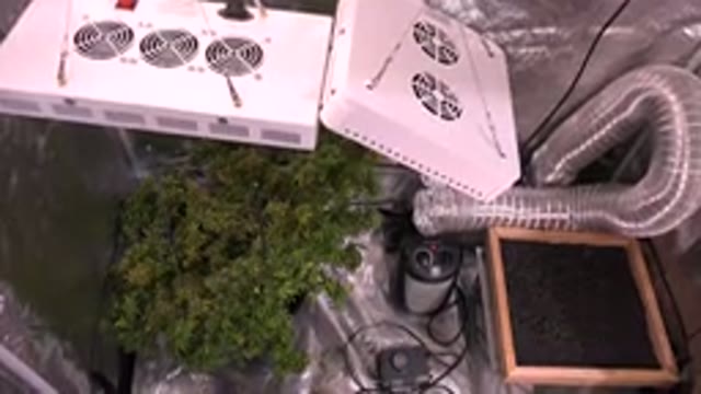 WESTMINSTER COLORADO-2015: Gardening System To Grow Plants Indoor With Light And
