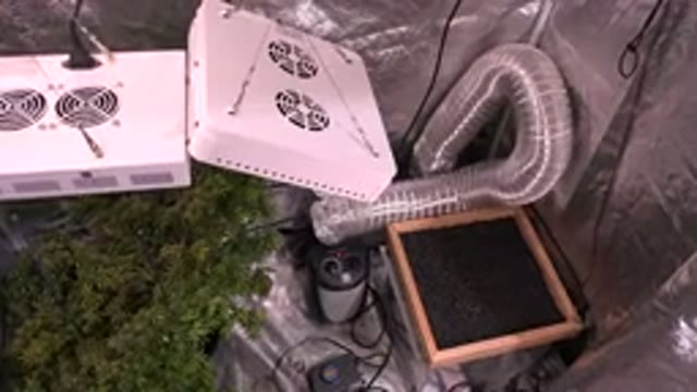 WESTMINSTER COLORADO-2015: Growing Plants Inside With Fancy Equipment