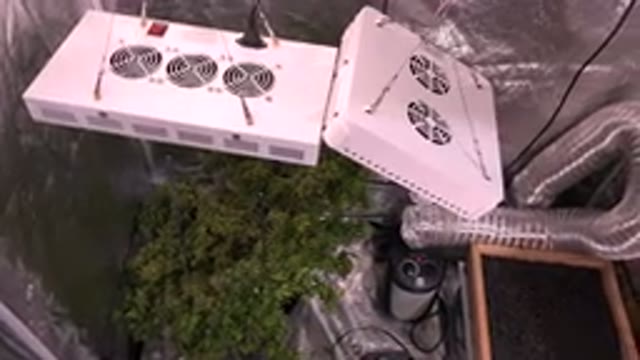 WESTMINSTER COLORADO-2015: System Form Elevating Plants