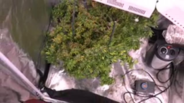 WESTMINSTER COLORADO-2015: Grow Your Own Herbs