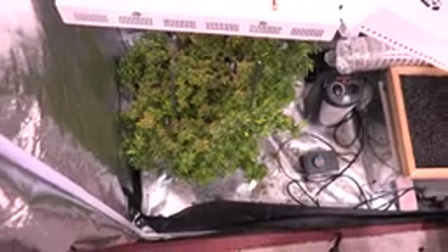 WESTMINSTER COLORADO-2015: Overhead View of Indoor Hydroponic Plant System