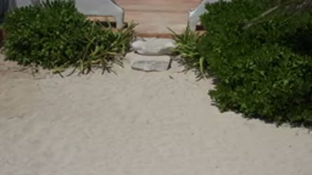 PLAYA DEL CARMEN MEXICO-2015: The Base Of An Alter To A Beautiful Stone Statue