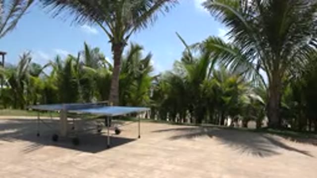 PLAYA DEL CARMEN MEXICO-2015: An Abandoned Table Tennis Table in a Lush Garden