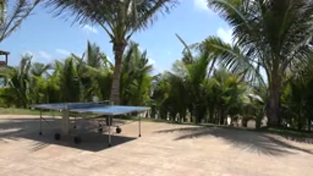 PLAYA DEL CARMEN MEXICO-2015: A Table Tennis Game Played Outside in a Garden