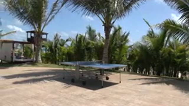 PLAYA DEL CARMEN MEXICO-2015: Table Tennis Table On Wheels Sits On A Paved Area
