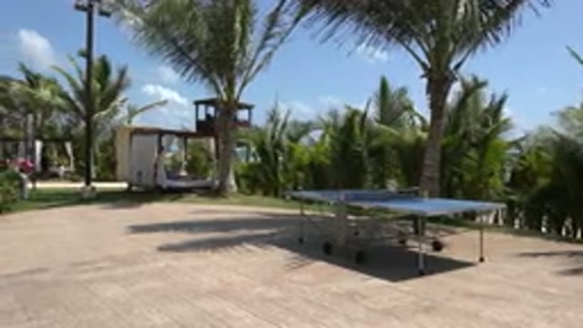 PLAYA DEL CARMEN MEXICO-2015: A Beautiful Day Somewhere Tropical With A Ping Pong