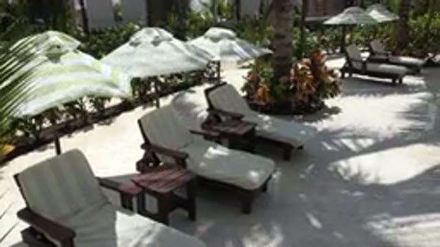 PLAYA DEL CARMEN MEXICO-2015: Empty Brown And White Outdoor Lounge Chairs On A