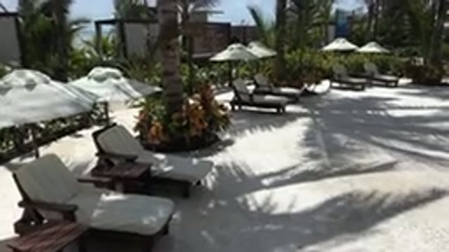 PLAYA DEL CARMEN MEXICO-2015: Chairs Trees Green White Floor Umbrella Empty