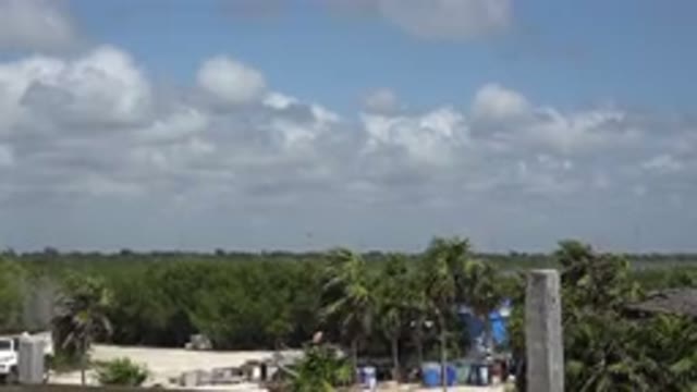 PLAYA DEL CARMEN MEXICO-2015: A Cloudy And Windy Day Making The Palm Trees Sway