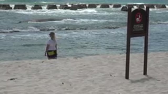 PLAYA DEL CARMEN MEXICO-2015: Blond Hair Girl Thought About To Swim In To The