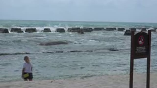 PLAYA DEL CARMEN MEXICO-2015: Woman With Purse Staring At The Beach Waves During
