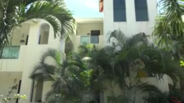 PLAYA DEL CARMEN MEXICO-2015: Green Palm Trees Swaying In A Gentle Breeze In