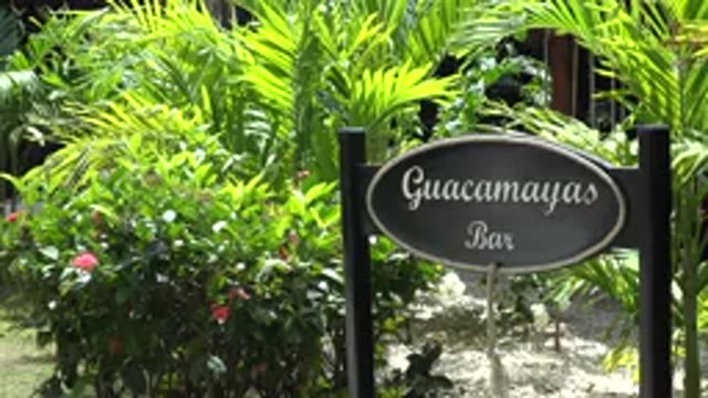PLAYA DEL CARMEN MEXICO-2015: Luxury And Peaceful Resort In The Middle Of Jungle