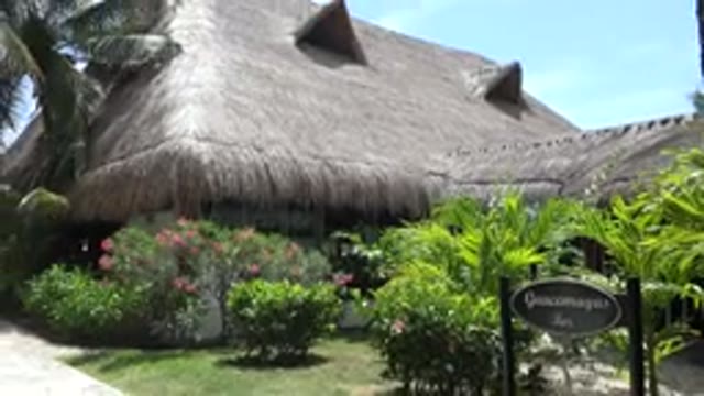 PLAYA DEL CARMEN MEXICO-2015: A Beautiful Brown Hut Surrounded By Green Trees