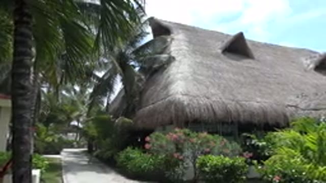 PLAYA DEL CARMEN MEXICO-2015: A Hotel And Some Palm Trees Near The Beach In A