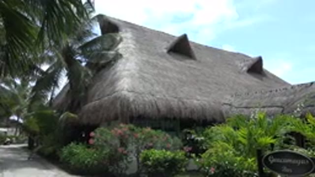 PLAYA DEL CARMEN MEXICO-2015: Beach Palm Restaurant Sunny Day Beautiful