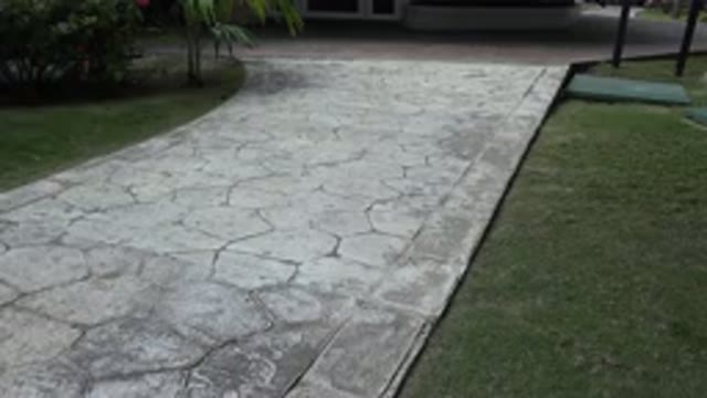 PLAYA DEL CARMEN MEXICO-2015: A Stony Pavement Leading To A Beautiful Small Garden