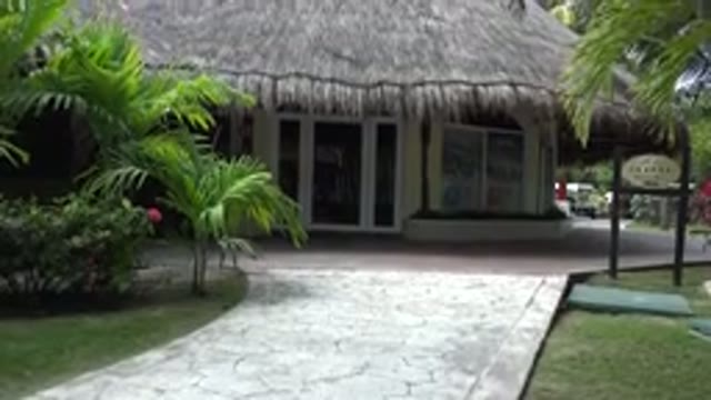 PLAYA DEL CARMEN MEXICO-2015: Brown Hut With Green Palm Trees On A Clear Day