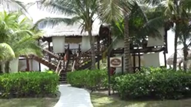 PLAYA DEL CARMEN MEXICO-2015: A Group of Buildings With Bushes Lining a Walkway