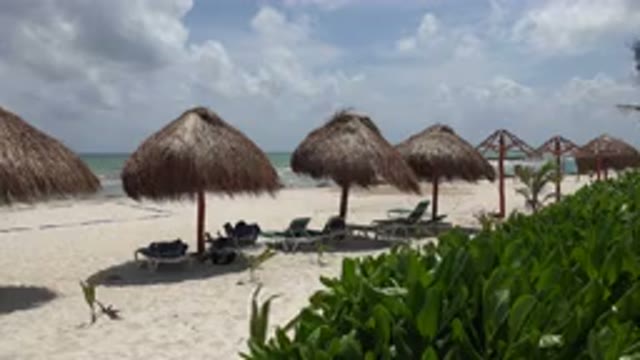 PLAYA DEL CARMEN MEXICO-2015: The Island Paradise