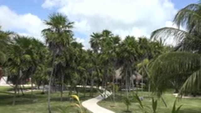 PLAYA DEL CARMEN MEXICO-2015: Resort Near The Sea And With Lots Of Trees Is The