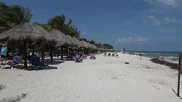 PLAYA DEL CARMEN MEXICO-2015: A Group Of People Relaxing On A Nice Peaceful Beach
