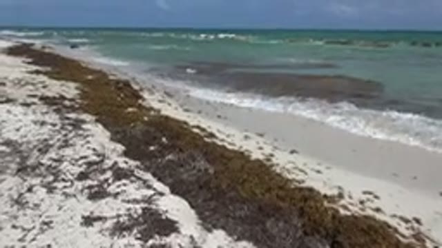 PLAYA DEL CARMEN MEXICO-2015: Waves Lapping Against White Sandy Beach With