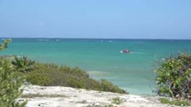 TULUM MEXICO-2015: Blue Ocean WaterTan Beach And Green Shrubs On A Clear Day