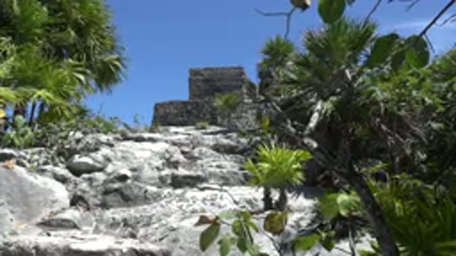 TULUM MEXICO-2015: Gray Building And Green Trees On A Sunny Breezy Day